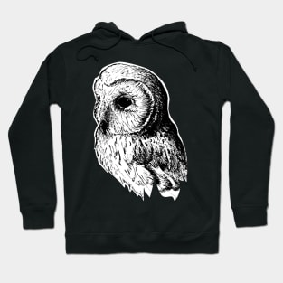 ink owl drawing - vintage style wildlife inspired art Hoodie